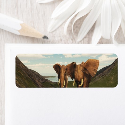 Elephant (Insitu)