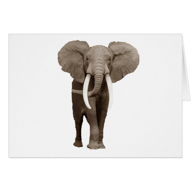 Elephant (Vorderseite (Horizontal))