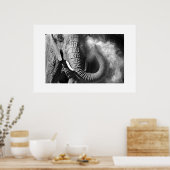 Elephant #1 poster (Küche)