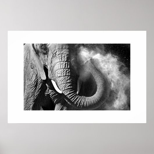Elephant #1 poster (Vorne)