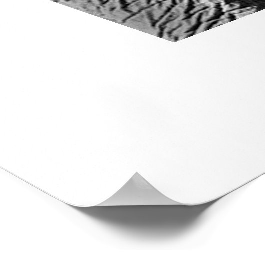 Elephant #1 poster (Ecke)