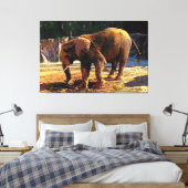 Elephant 1Design Leinwanddruck (Insitu (Schlafzimmer))