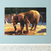 Elephant 1Design Leinwanddruck (Insitu (Holzboden))