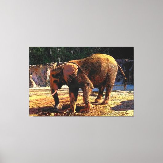 Elephant 1Design Leinwanddruck (Vorderseite)
