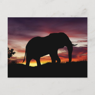 Elephant Africa Safari Sonnenuntergang Landschaft Postkarte