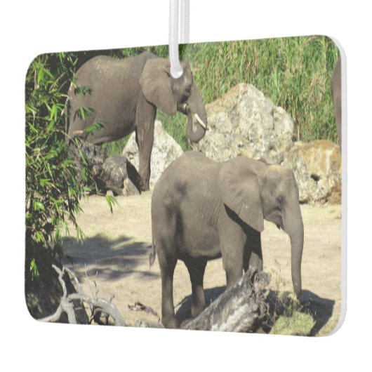 Elephant Air Freshener Autolufterfrischer (Links)