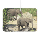 Elephant Air Freshener Autolufterfrischer (Vorderseite)