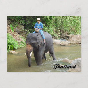 Elephant and Mahout Chiang Mai, Thailand Postcard Postkarte