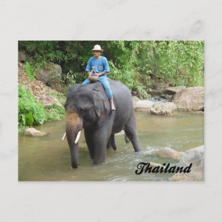 Elephant and Mahout Chiang Mai, Thailand Postcard Postkarte