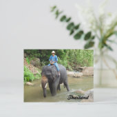 Elephant and Mahout Chiang Mai, Thailand Postcard Postkarte (Stehend Vorderseite)