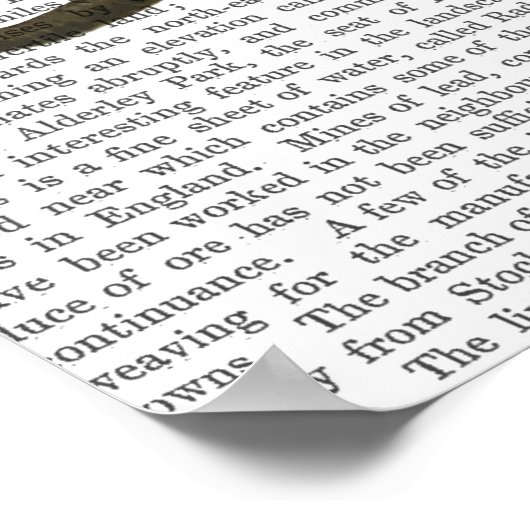 Elephant and Penguin Poster (Ecke)