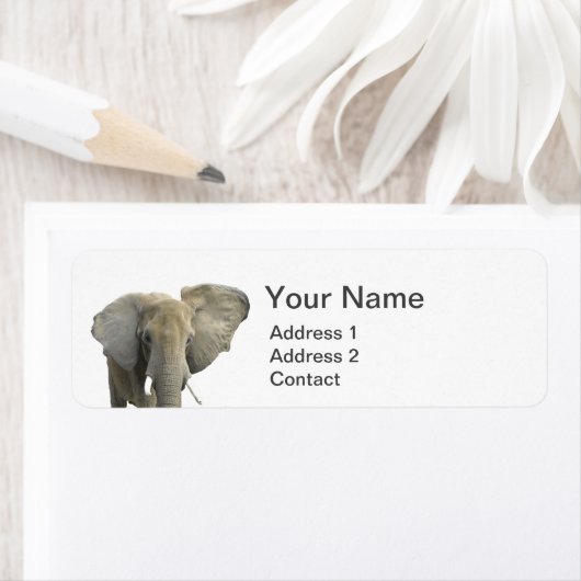 Elephant Animal Foto (Insitu)