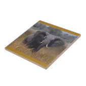 Elephant Aware, Kenia. Keramikfliese (Seite)