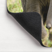 Elephant Baby Mousepad (Ecke)