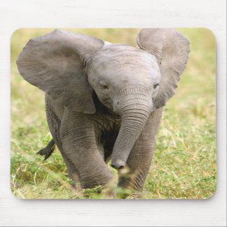 Elephant Baby Mousepad