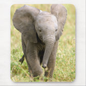 Elephant Baby Mousepad (Vorne)