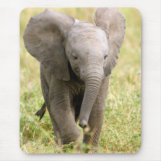 Elephant Baby Mousepad (Vorne)