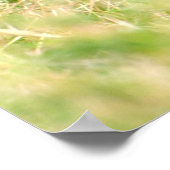 Elephant Baby Poster (Ecke)