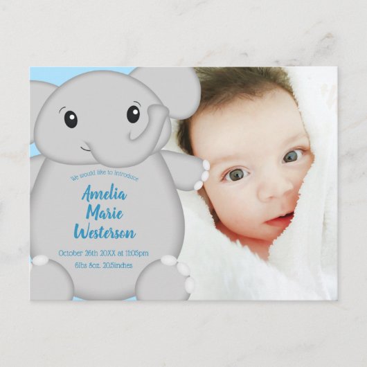 Elephant Baby Shower Safari Blue Boy Postkarte (Vorderseite)