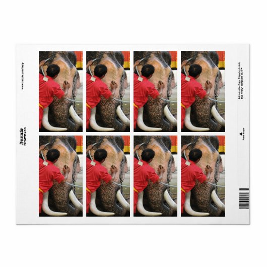 Elephant Bathtime ... Ayutthaya, Thailand (Vorne)