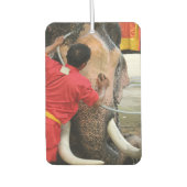 Elephant Bathtime ... Ayutthaya, Thailand Autolufterfrischer (Vorderseite)