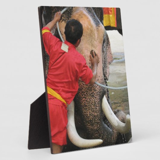 Elephant Bathtime ... Ayutthaya, Thailand Fotoplatte (Seite)