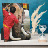 Elephant Bathtime ... Ayutthaya, Thailand Fotoplatte (Seite)