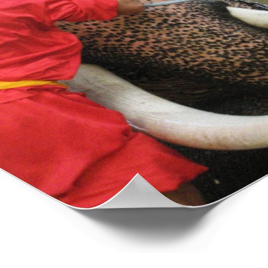 Elephant Bathtime ... Ayutthaya, Thailand Poster (Ecke)