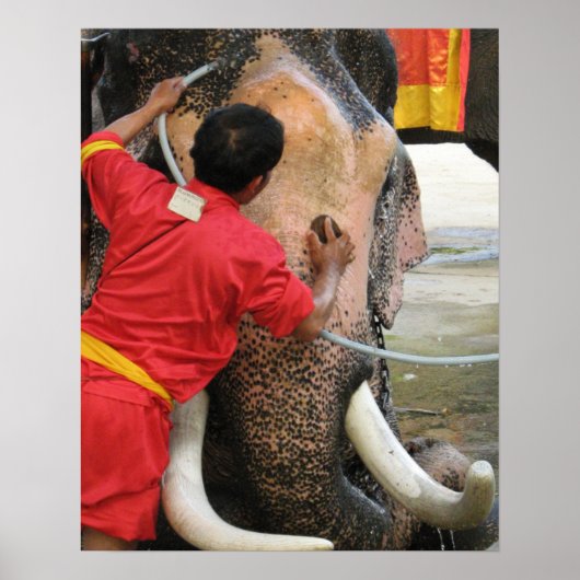 Elephant Bathtime ... Ayutthaya, Thailand Poster (Vorne)