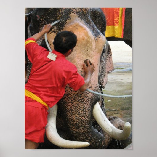 Elephant Bathtime ... Ayutthaya, Thailand Poster (Vorne)