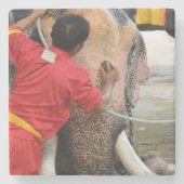Elephant Bathtime ... Ayutthaya, Thailand Steinuntersetzer (Vorderseite)