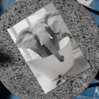 Elephant Bathtub Schwarz-weißes Bad Art Postkarte
