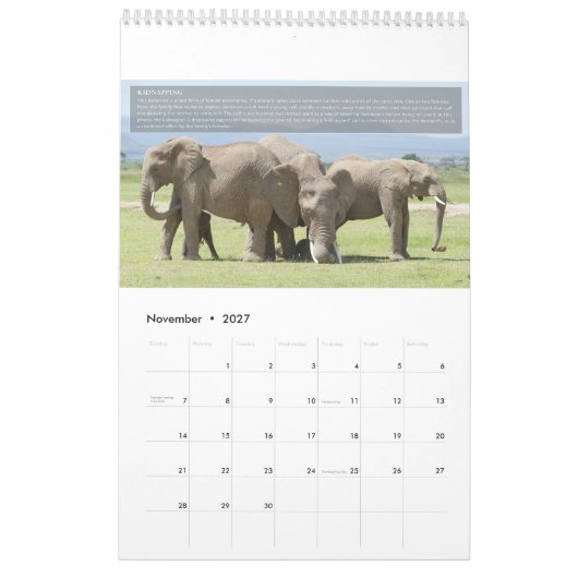 Elephant Behavior Calendar Kalender (Nov 2027)