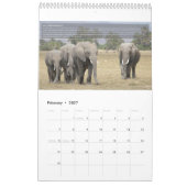 Elephant Behavior Calendar Kalender (Feb 2027)