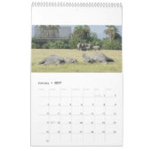 Elephant Behavior Calendar Kalender (Jan 2027)
