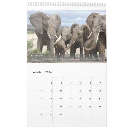 Elephant Behavior Calendar Kalender (Mär 2026)