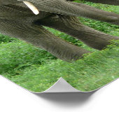 Elephant bei Ndutu Poster (Ecke)