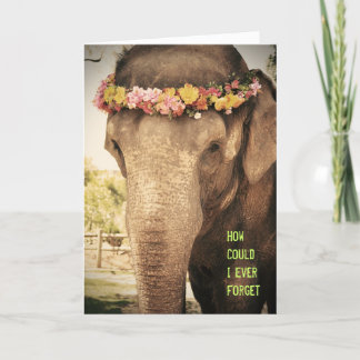 Elephant Birthday Card Karte