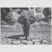 Elephant Black and White Decoupage Seidenpapier (Vorderseite)