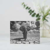 Elephant Black and White Postkarte (Stehend Vorderseite)