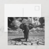 Elephant Black and White Postkarte (Vorne/Hinten)