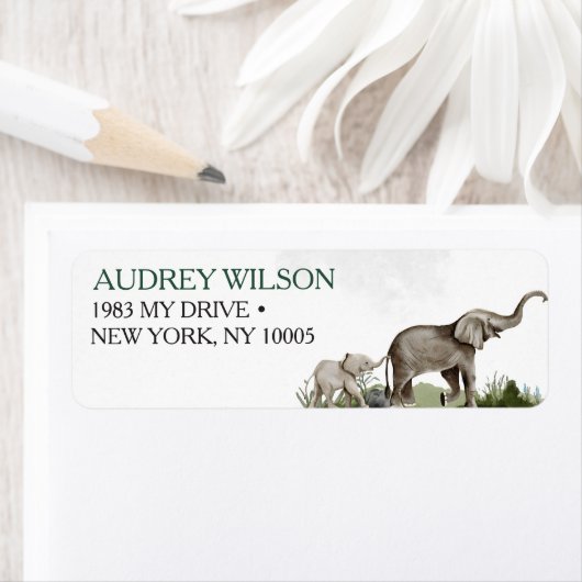 Elephant Boy Baby Shower (Insitu)