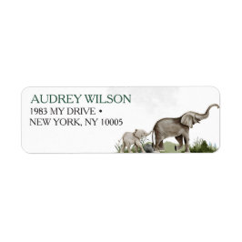 Elephant Boy Baby Shower