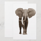 Elephant Briefpapier (Vorne/Hinten)