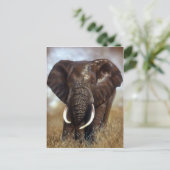 Elephant Bull Prints Postkarten (Stehend Vorderseite)