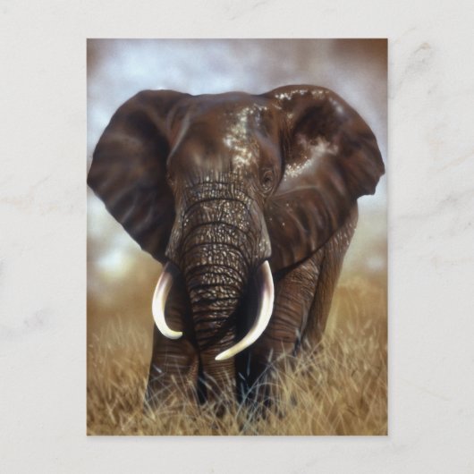 Elephant Bull Prints Postkarten (Vorderseite)