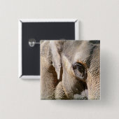 ELEPHANT BUTTON (Vorne & Hinten)