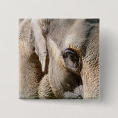 ELEPHANT BUTTON (Vorderseite)