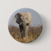Elephant Button (Vorderseite)