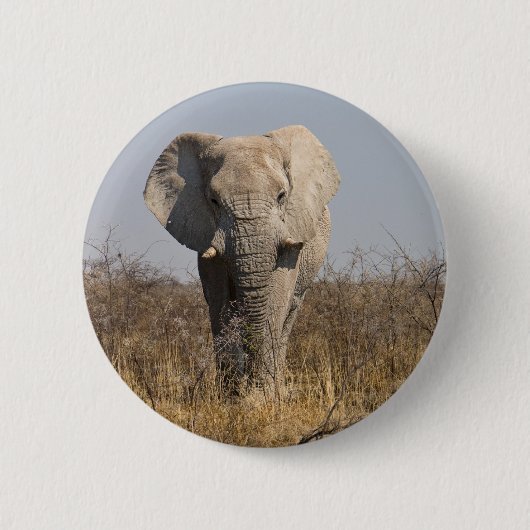 Elephant Button (Vorderseite)